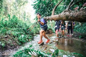 BIB: 
                            <button type="button" onclick="openModal(25515973)" class="btn btn-primary btn-sm float-right btn-popup" data-toggle="modal" data-target=".modal-high-quality">
                        <i class="fas fa-shopping-cart"></i> Add to Cart
                    </button>
                                            <button type="button" onclick="isThisMe(25515973, true)" class="btn btn-success btn-sm float-right btn-popup btn-isme hidden" data-toggle="tooltip" data-placement="bottom" title="นี่คือรูปของคุณใช่ไหม คลิกที่นี่เพื่อเอาเข้าอัลบั้ม">
                        <i class="fas fa-plus"></i> Add to album
                    </button>
                    <button type="button" onclick="isThisMe(25515973, false)" class="btn btn-warning btn-sm float-right btn-popup btn-isnotme hidden">
                        <i class="fas fa-ban"></i> Remove from album
                    </button>